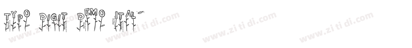 Typo Digit Demo Ital字体转换